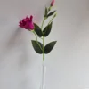 Eustoma sztuczna na łodydze BL026E 57 cm – karton 72 szt.