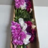 Eustoma sztuczna na łodydze BL026E 57 cm – karton 72 szt.