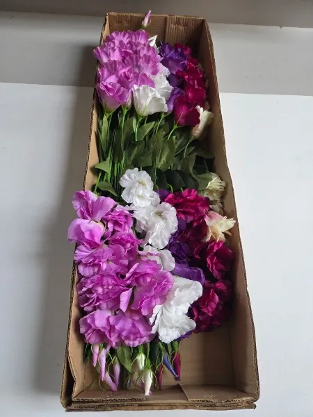 Eustoma sztuczna na łodydze BL026E 57 cm – karton 72 szt.